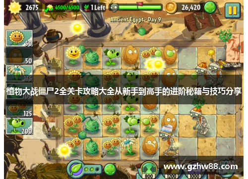植物大战僵尸2全关卡攻略大全从新手到高手的进阶秘籍与技巧分享 植物大战僵尸2全关卡攻略大全从新手到高手的进阶秘籍与技巧分享