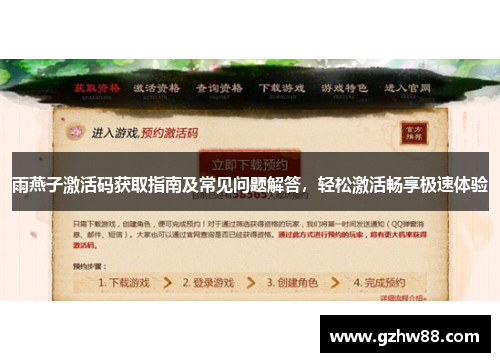 雨燕子激活码获取指南及常见问题解答，轻松激活畅享极速体验