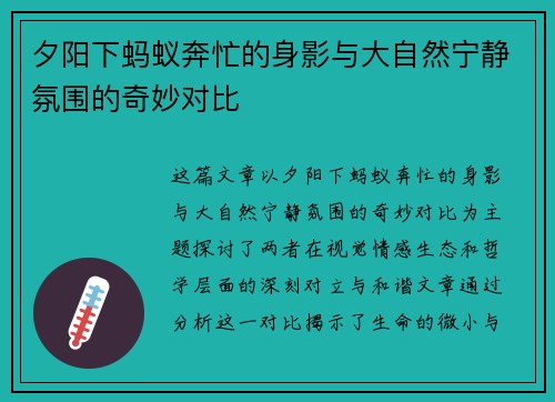 夕阳下蚂蚁奔忙的身影与大自然宁静氛围的奇妙对比 夕阳下蚂蚁奔忙的身影与大自然宁静氛围的奇妙对比